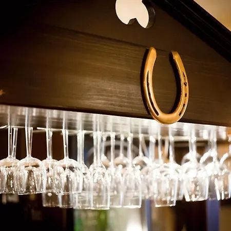 U Zlate Podkovy - At The Golden Horseshoe *