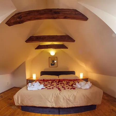 U Zlate Podkovy - At The Golden Horseshoe Apartment